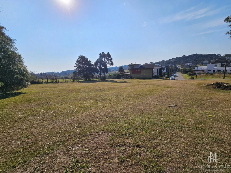 Terreno no Condomínio Altos Pinheiros em Canela: 6ª foto da galeria de imagens do imóvel