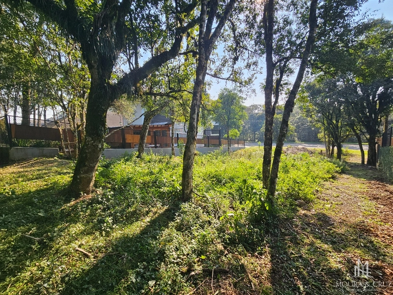 Terreno no Vivendas do Arvoredo em Gramado: 4ª foto da galeria de imagens do imóvel
