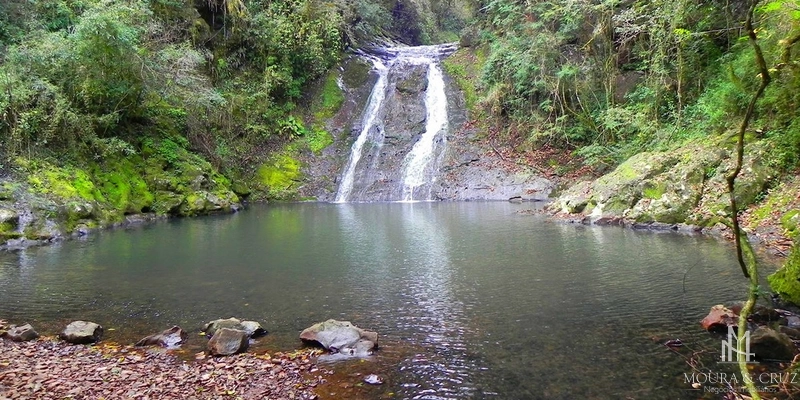 Área de Terras em Gramado: 6ª foto da galeria de imagens do imóvel