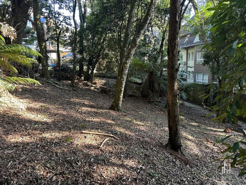 Terreno no Condomínio Lagos de Gramado: 4ª foto da galeria de imagens do imóvel