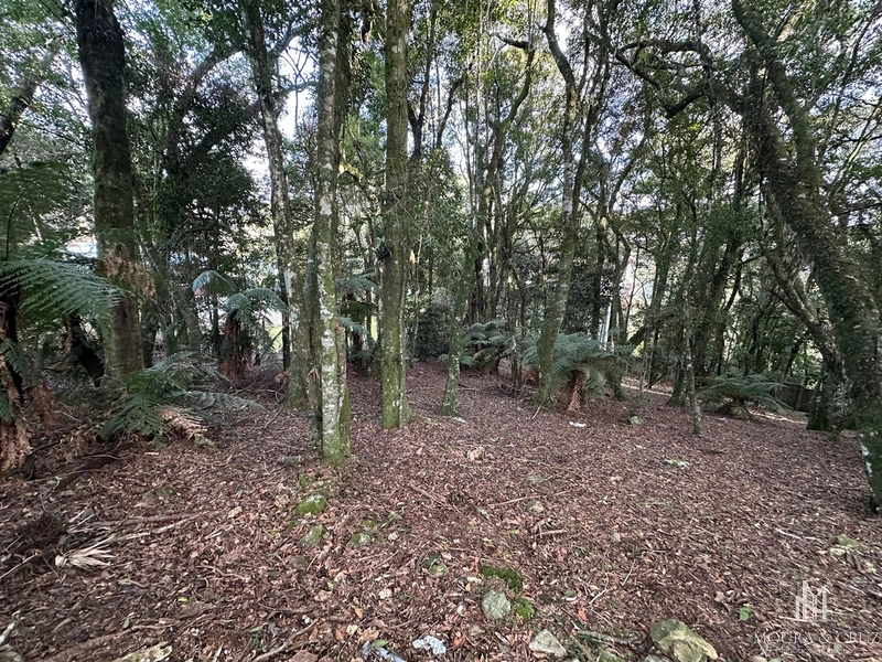 Terreno no Condomínio Lagos de Gramado: 3ª foto da galeria de imagens do imóvel
