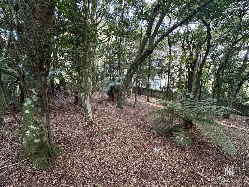 Terreno no Condomínio Lagos de Gramado: 2ª foto da galeria de imagens do imóvel