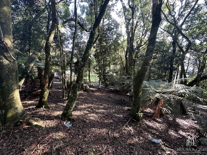 Terreno no Condomínio Lagos de Gramado: 5ª foto da galeria de imagens do imóvel