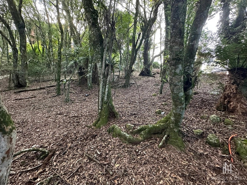 Terreno no Condomínio Lagos de Gramado: 6ª foto da galeria de imagens do imóvel