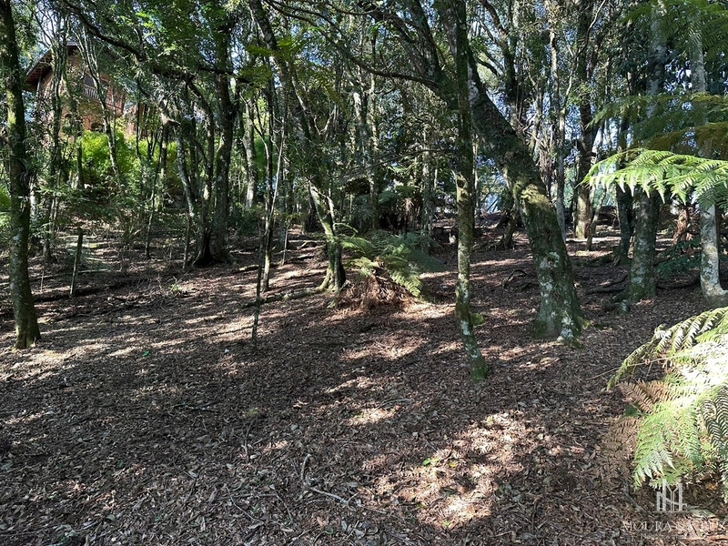 Terreno no Condomínio Lagos de Gramado: 5ª foto da galeria de imagens do imóvel