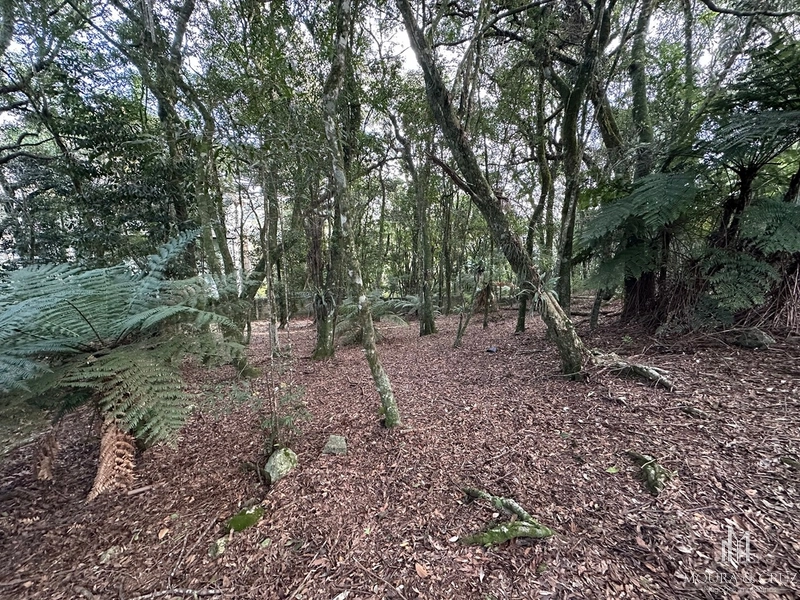 Terreno no Condomínio Lagos de Gramado: 3ª foto da galeria de imagens do imóvel
