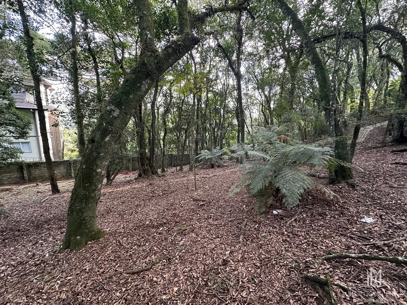 Terreno no Condomínio Lagos de Gramado: 2ª foto da galeria de imagens do imóvel