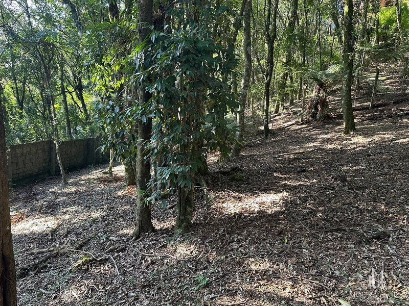 Terreno no Condomínio Lagos de Gramado: 4ª foto da galeria de imagens do imóvel