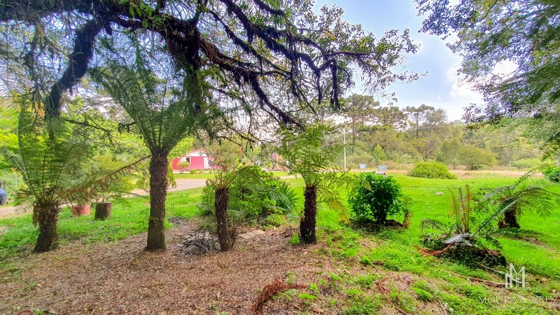 Terreno Comercial em Canela: 8ª foto da galeria de imagens do imóvel