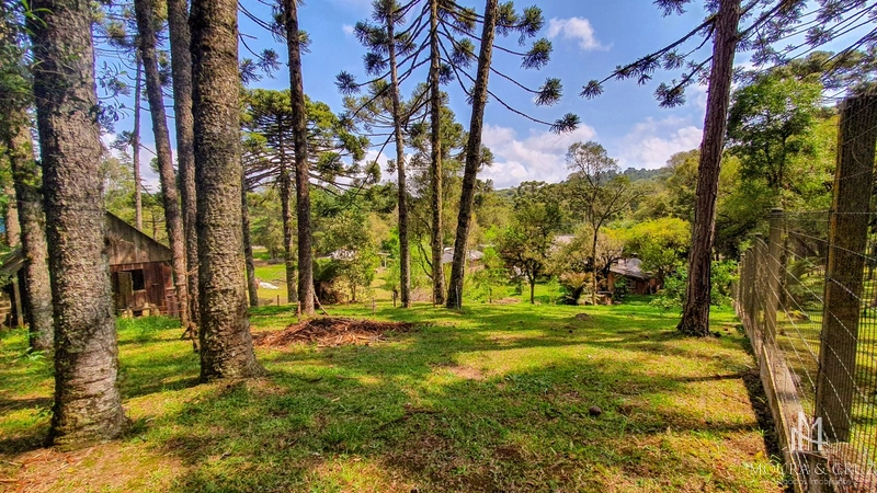 Terreno Comercial em Canela: 4ª foto da galeria de imagens do imóvel
