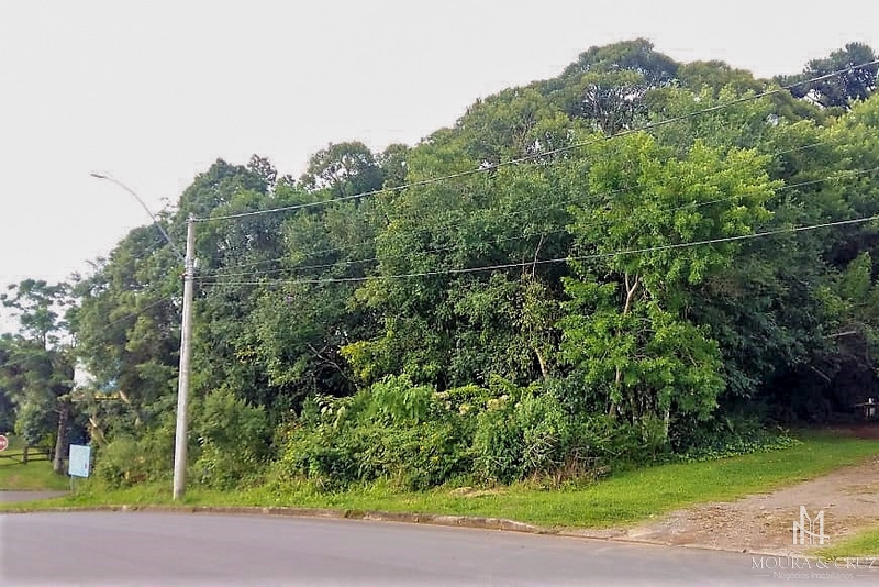 Terreno Comercial em Canela: 1ª foto da galeria de imagens do imóvel