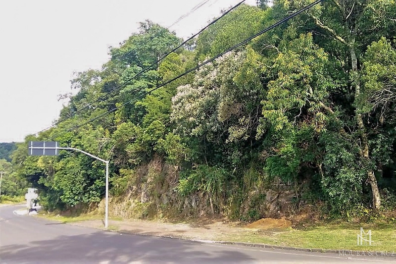 Terreno Comercial em Canela: 2ª foto da galeria de imagens do imóvel