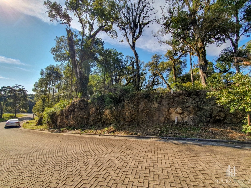 Terreno no Vivendas do Arvoredo em Gramado: 2ª foto da galeria de imagens do imóvel