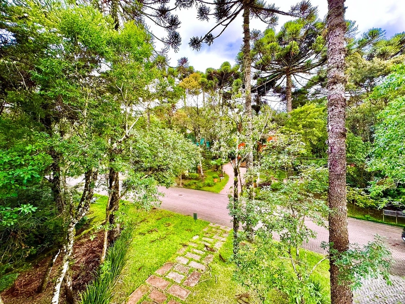 Casa 4 quartos no Condomínio Reserva da Serra em Canela: 8ª foto da galeria de imagens do imóvel