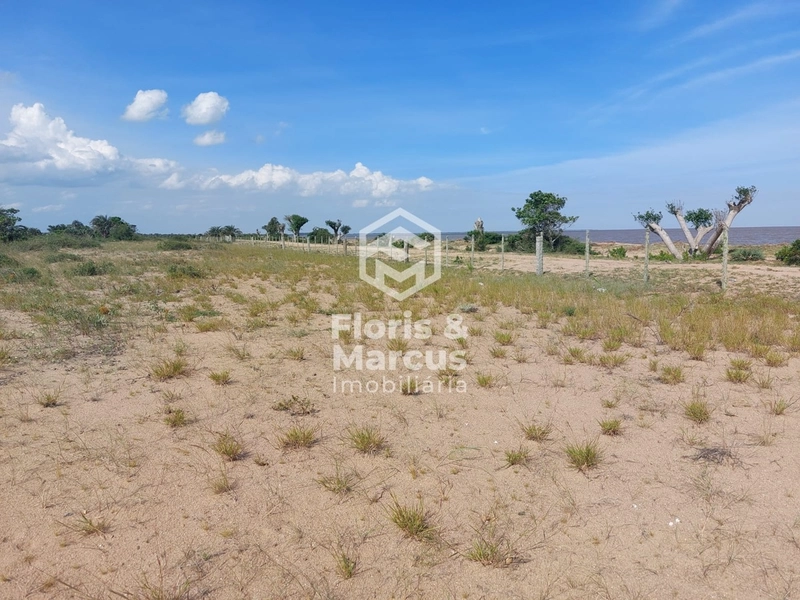 LANÇAMENTO: 15ª foto da galeria de imagens do imóvel