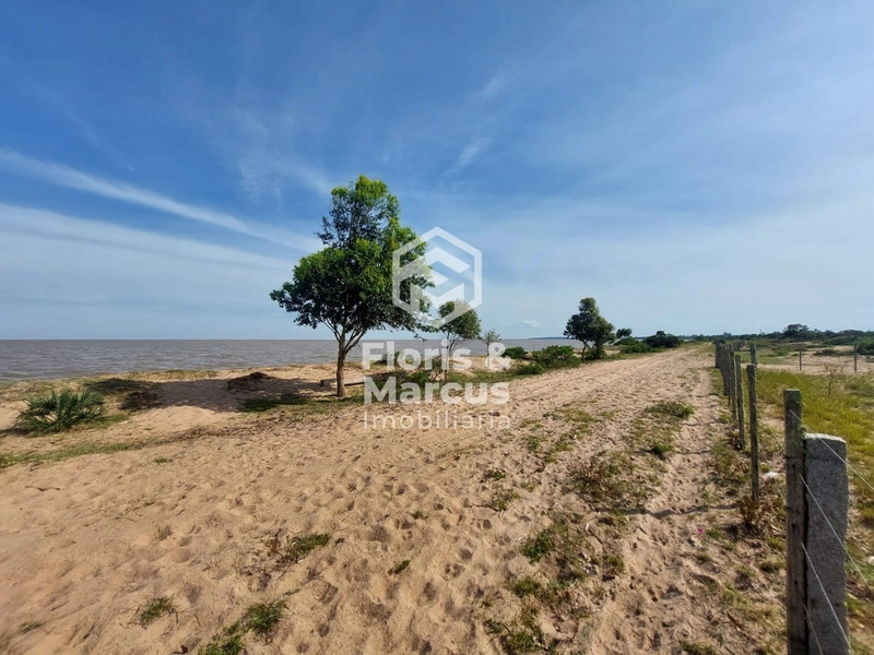 LANÇAMENTO: 13ª foto da galeria de imagens do imóvel