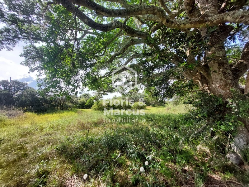 LANÇAMENTO: 17ª foto da galeria de imagens do imóvel