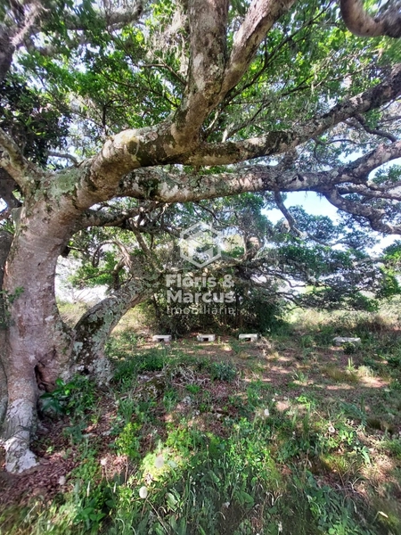 LANÇAMENTO: 16ª foto da galeria de imagens do imóvel