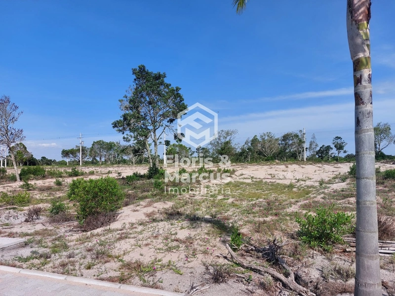 LANÇAMENTO: 12ª foto da galeria de imagens do imóvel