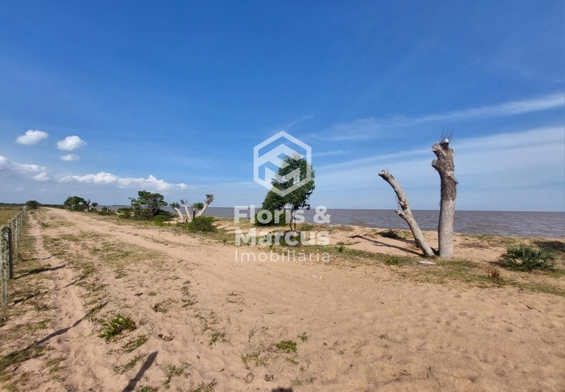 LANÇAMENTO: 14ª foto da galeria de imagens do imóvel