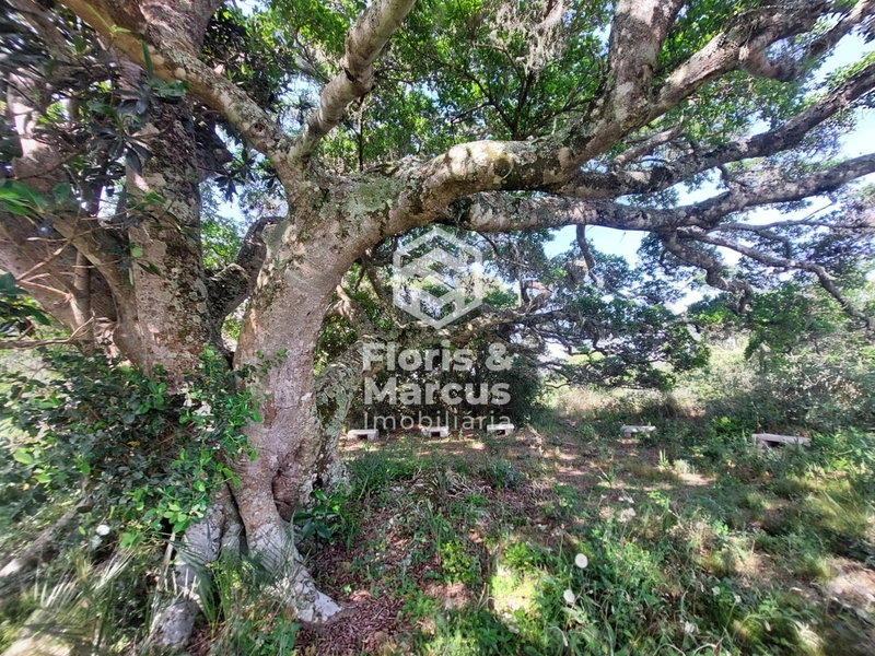 LANÇAMENTO: 7ª foto da galeria de imagens do imóvel