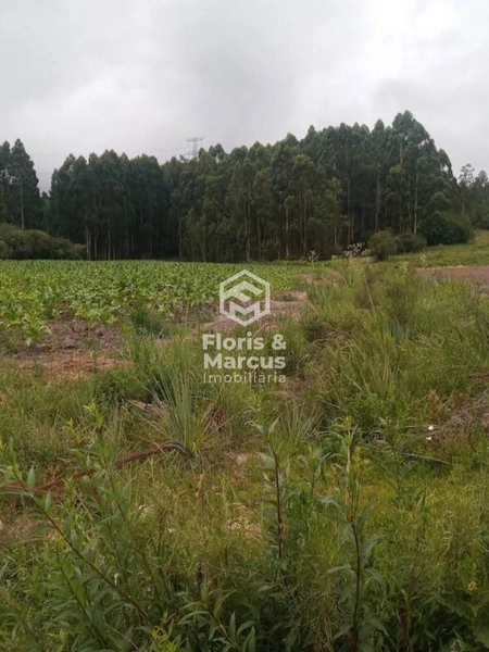 : 5ª foto da galeria de imagens do imóvel