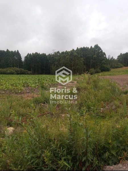 : 2ª foto da galeria de imagens do imóvel