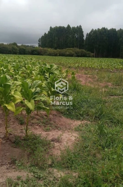 : 1ª foto da galeria de imagens do imóvel