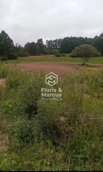 : 3ª foto da galeria de imagens do imóvel