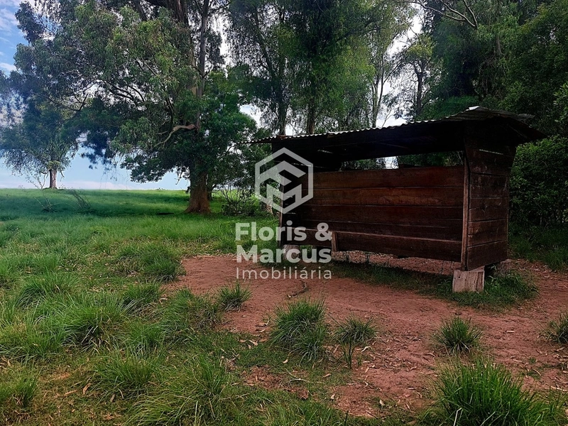 Área nobre à 06km da Cidade, 15 minutos do Centro.: 57ª foto da galeria de imagens do imóvel