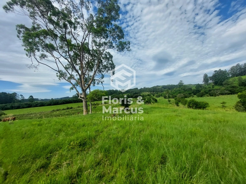 Área nobre à 06km da Cidade, 15 minutos do Centro.: 64ª foto da galeria de imagens do imóvel