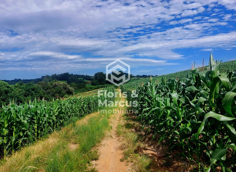 Área nobre à 06km da Cidade, 15 minutos do Centro.: 53ª foto da galeria de imagens do imóvel