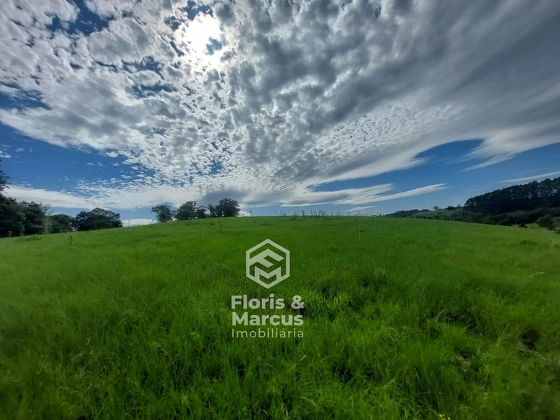 Área nobre à 06km da Cidade, 15 minutos do Centro.: 65ª foto da galeria de imagens do imóvel