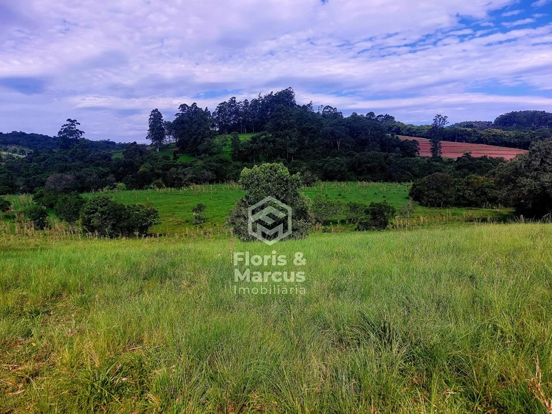 Área nobre à 06km da Cidade, 15 minutos do Centro.: 62ª foto da galeria de imagens do imóvel