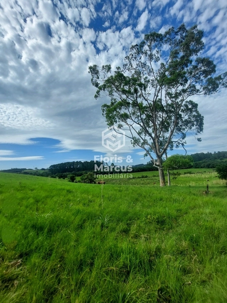 Área nobre à 06km da Cidade, 15 minutos do Centro.: 63ª foto da galeria de imagens do imóvel