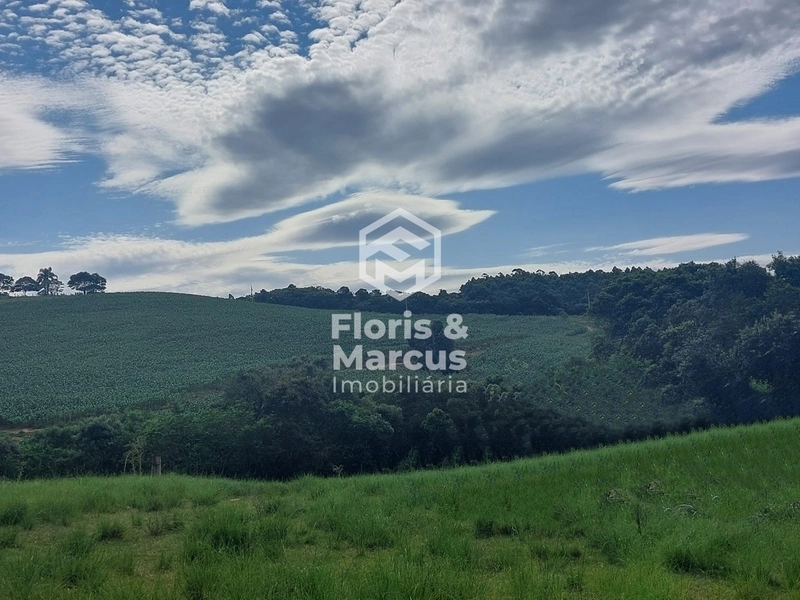 Área nobre à 06km da Cidade, 15 minutos do Centro.: 69ª foto da galeria de imagens do imóvel