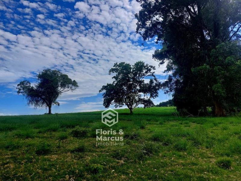 Área nobre à 06km da Cidade, 15 minutos do Centro.: 61ª foto da galeria de imagens do imóvel