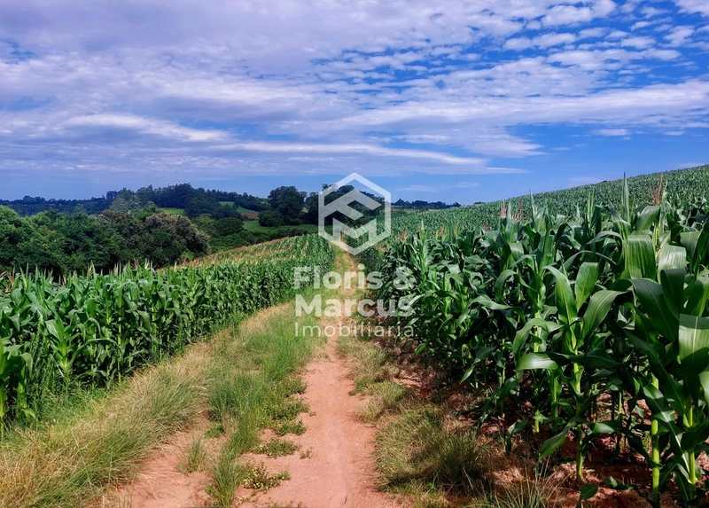 Área nobre à 06km da Cidade, 15 minutos do Centro.: 7ª foto da galeria de imagens do imóvel