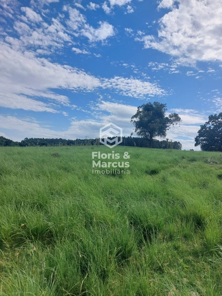 Área nobre à 06km da Cidade, 15 minutos do Centro.: 67ª foto da galeria de imagens do imóvel