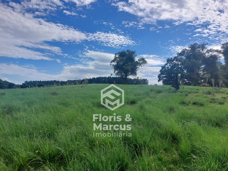 Área nobre à 06km da Cidade, 15 minutos do Centro.: 66ª foto da galeria de imagens do imóvel