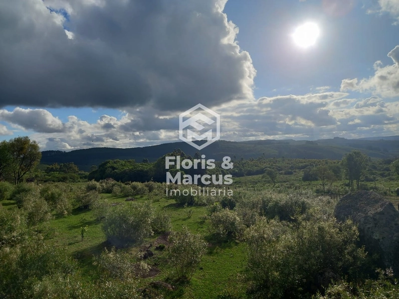 A chance de realizar seu sonho chegou.: 17ª foto da galeria de imagens do imóvel