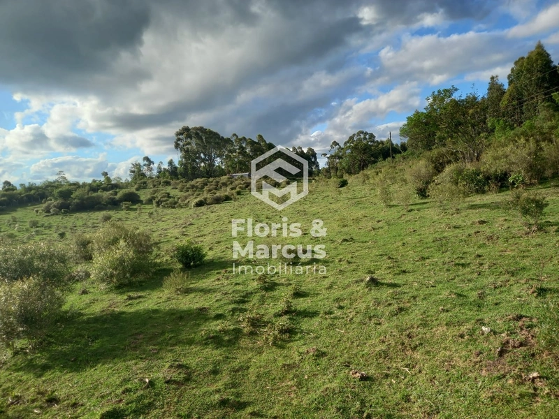 A chance de realizar seu sonho chegou.: 9ª foto da galeria de imagens do imóvel