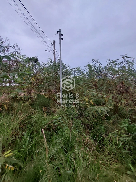 Terreno disponível em um dos melhores pontos da Cidade...: 7ª foto da galeria de imagens do imóvel