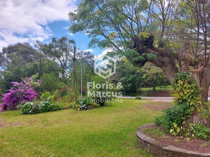 SÍTIO AS MARGENS DA ERS 350: 2ª foto da galeria de imagens do imóvel