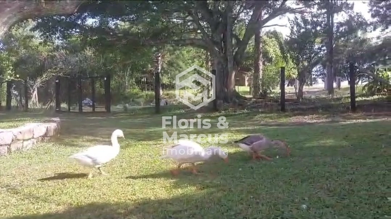 SÍTIO AS MARGENS DA ERS 350: 10ª foto da galeria de imagens do imóvel