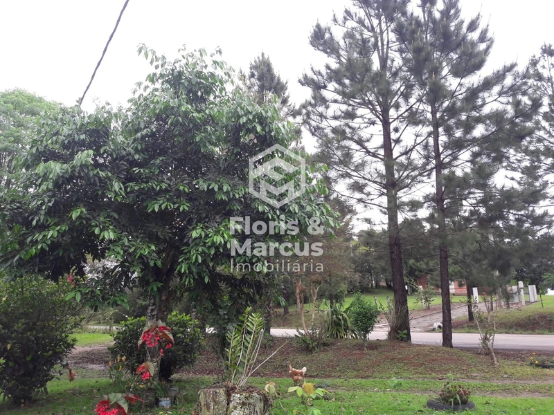 SÍTIO AS MARGENS DA ERS 350: 6ª foto da galeria de imagens do imóvel