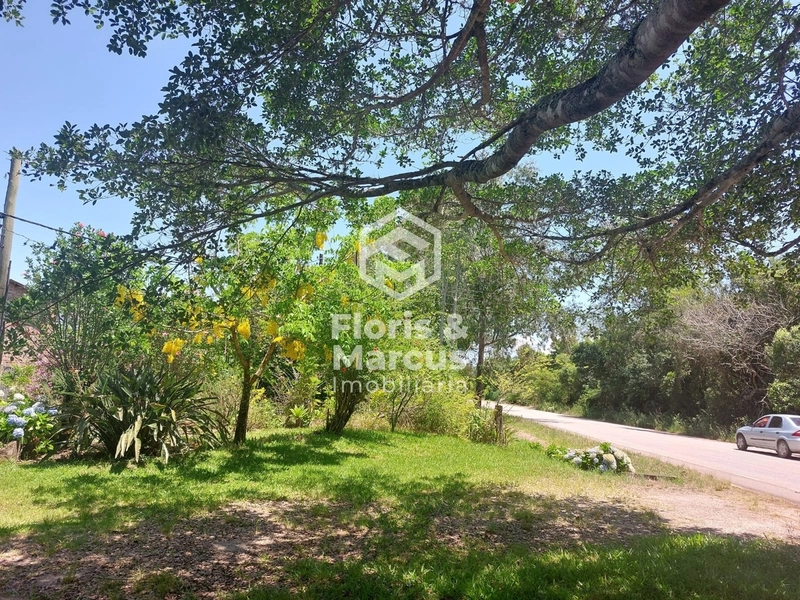 SÍTIO AS MARGENS DA ERS 350: 7ª foto da galeria de imagens do imóvel