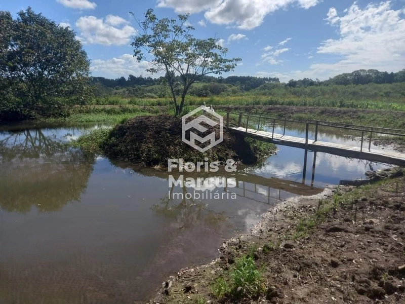 SÍTIO AS MARGENS DA ERS 350: 9ª foto da galeria de imagens do imóvel