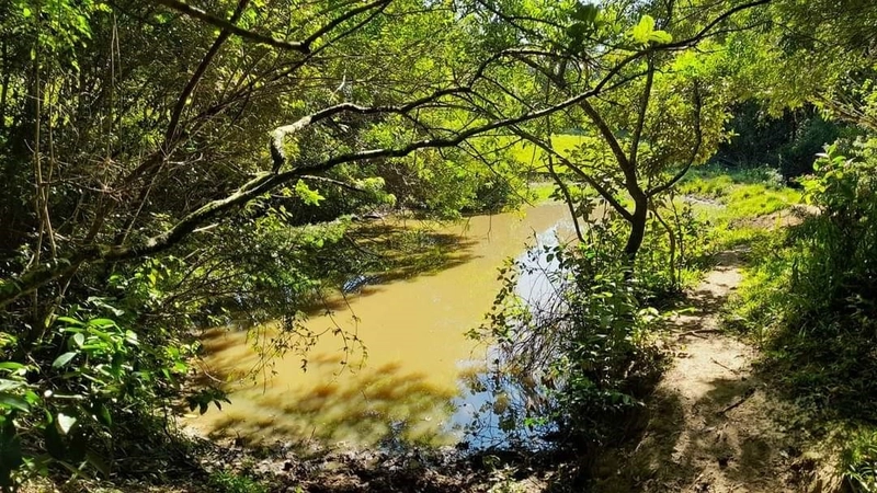 : 6ª foto da galeria de imagens do imóvel