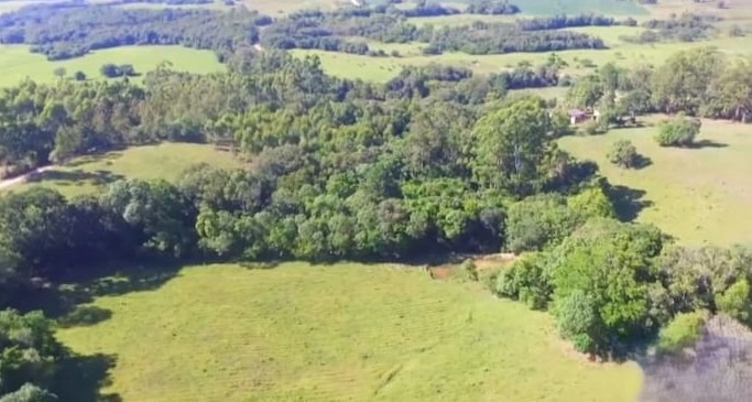 : 9ª foto da galeria de imagens do imóvel